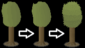 Evolution arbre - Like Barney